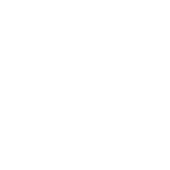 Coca-Cola logo